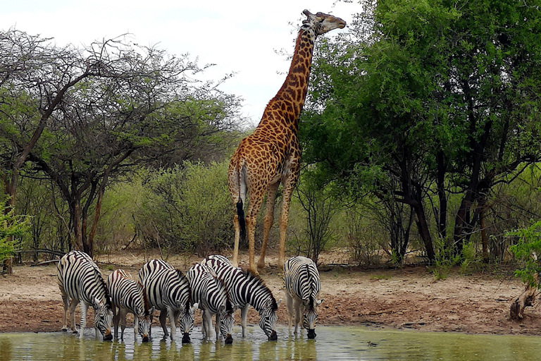 Chobe Nationaal Park