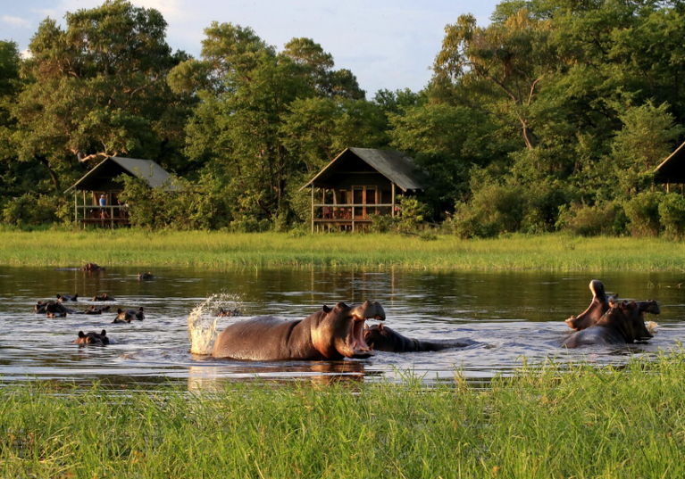 Okavanga