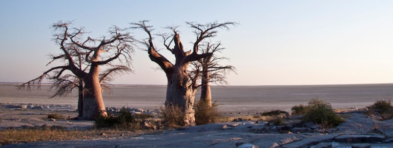 Makgadikgadi Pan