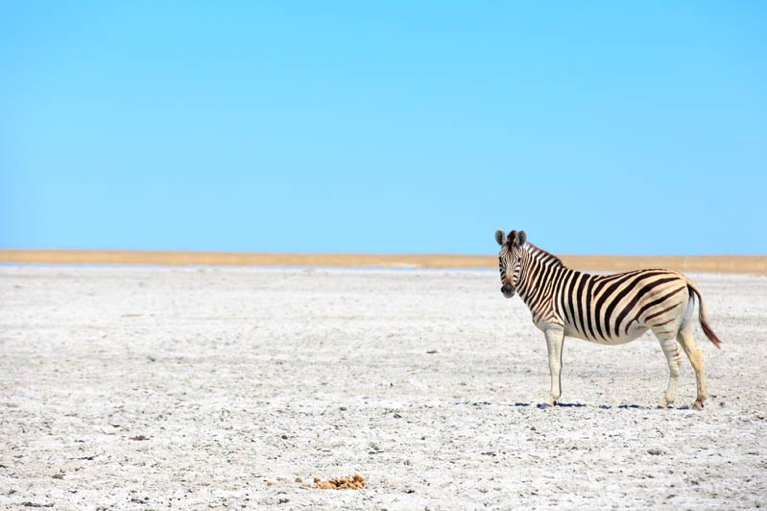 Makgadikgadi Pan