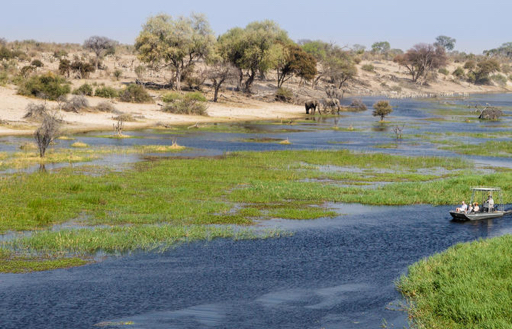 Makgadikigadi