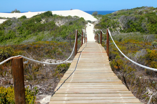 De Hoop Nat Reserve