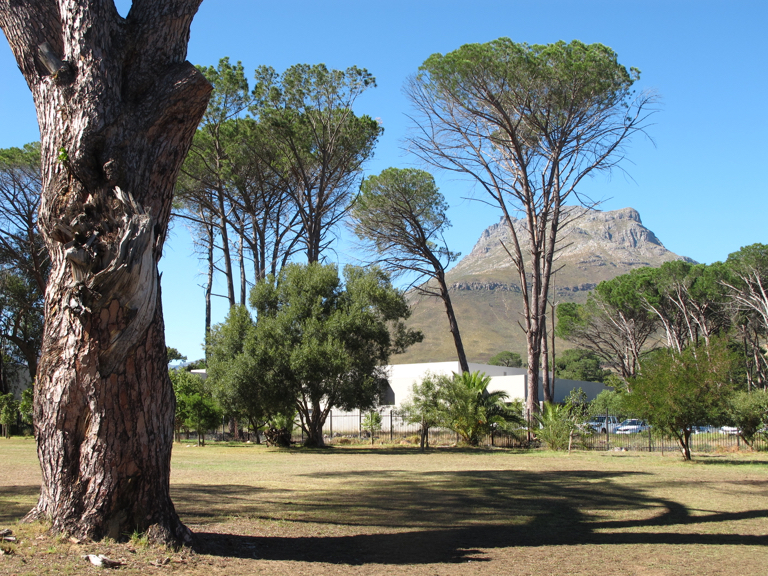 Stellenbosch