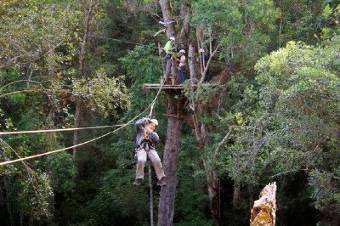 Canopy Tour