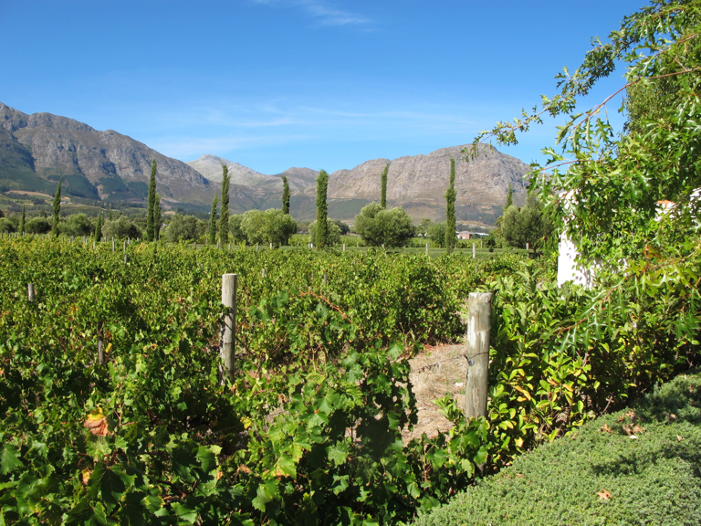 Stellenbosch