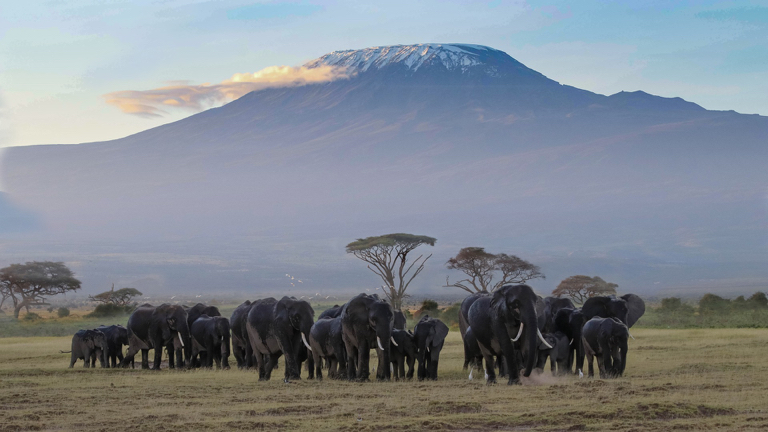 Safarivakantie Kenia - Amboseli