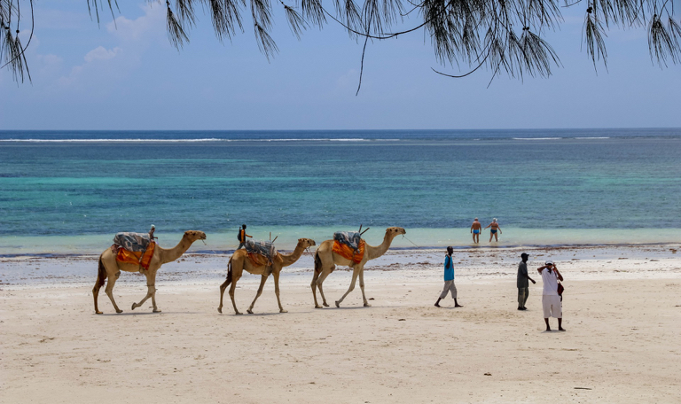 Reizen naar Kenia - Diana