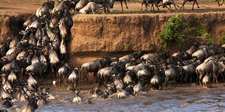 Op safari in Kenia