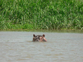 Reis naar Kenia - Lake Victoria