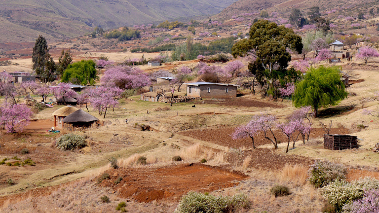 Lesotho