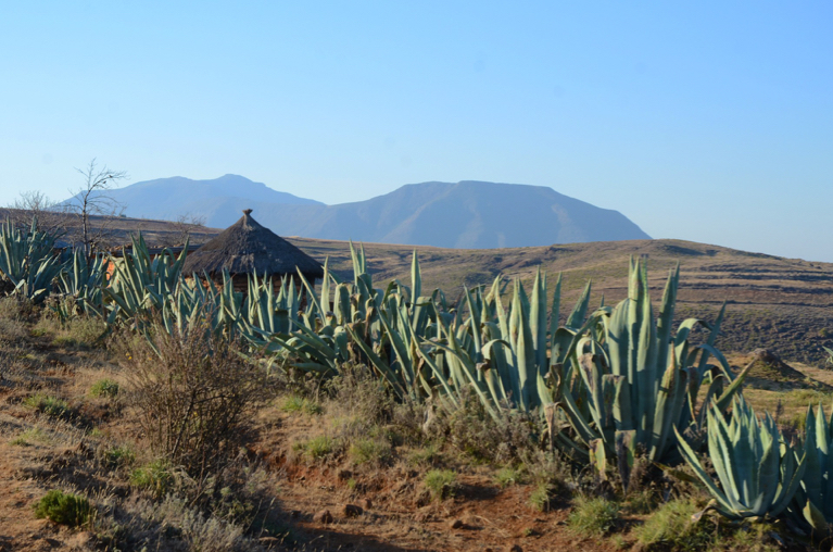 Lesotho