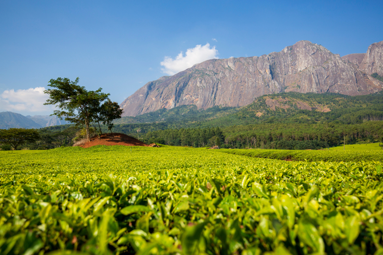 Mulanje