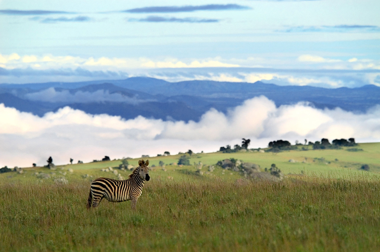 Nyika National Park