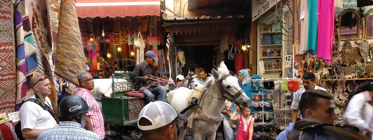 Reis naar Marrakech - de soeks en het Jemna el Fna