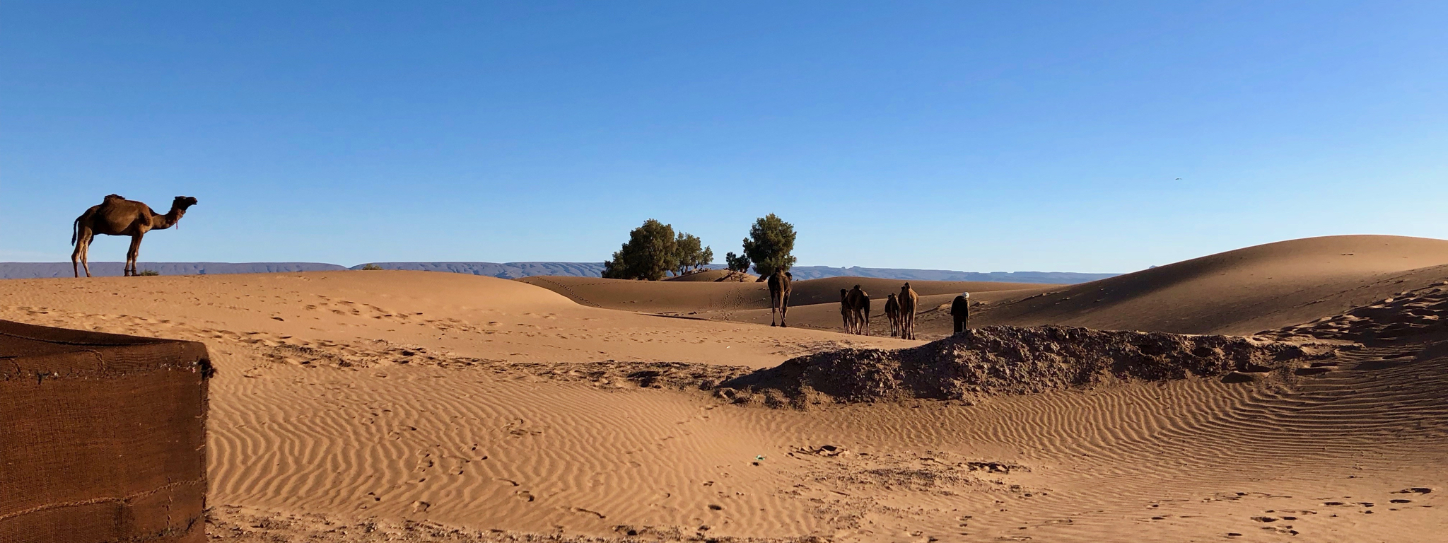 Op reis naar Marokko - geniet van de beleving met een overnachting in de Sahara