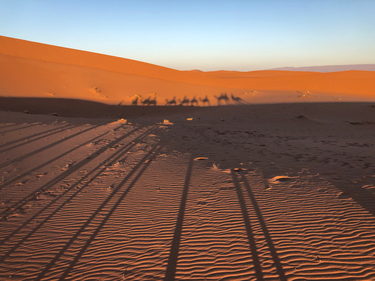 Kamelenrit sahara bij zonsopkomst