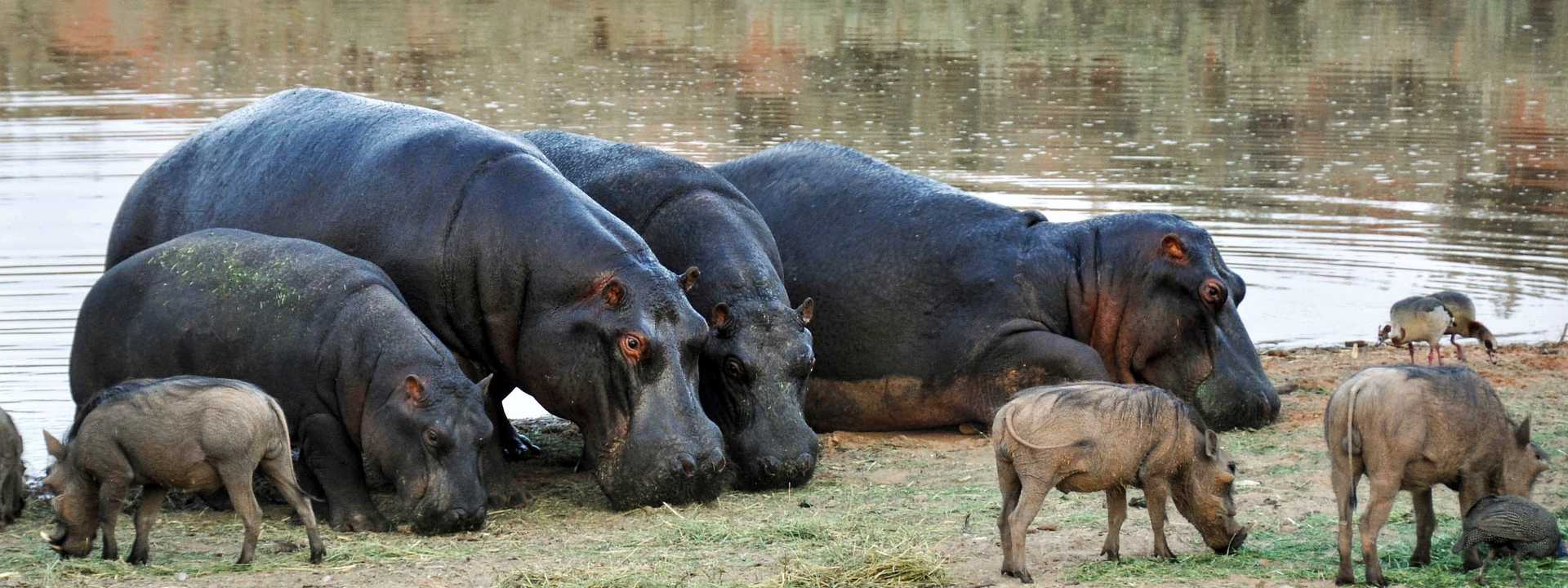 Etosha NP