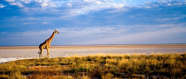 Etosha