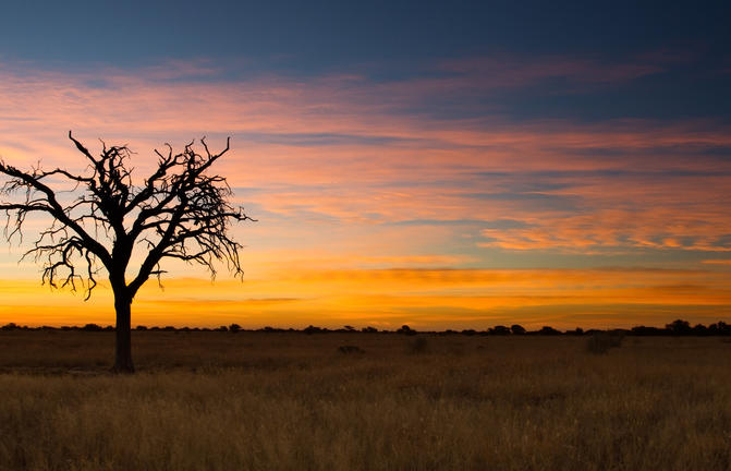 Op reis in Namibie - Kalahari