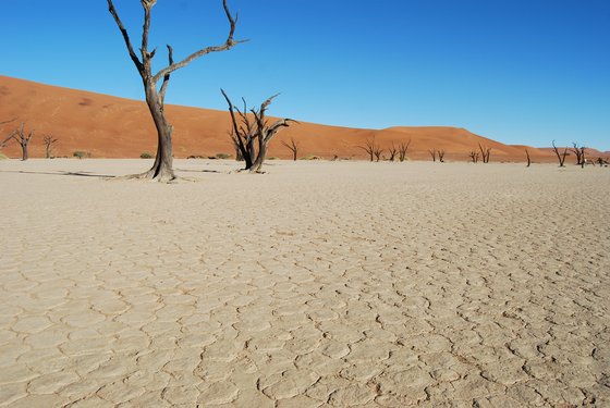 Ik wil op reis naar Namibie
