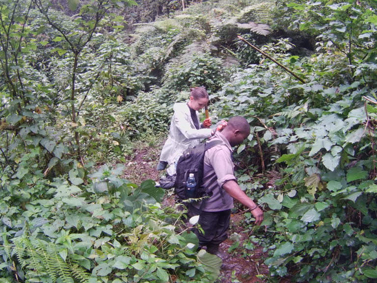 Bwindi Trecking - te voet door het oerwoud van Oeganda