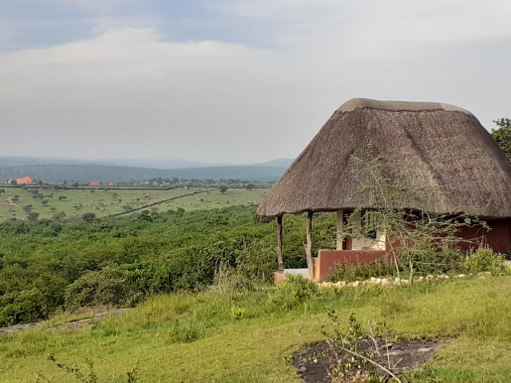 Op reis langs enkele hoogtepunten van Oeganda - LakeMburo