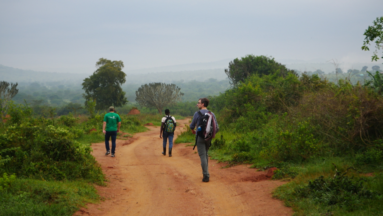Op wandelsafari tijdens een uitgewerkte Oegandareis