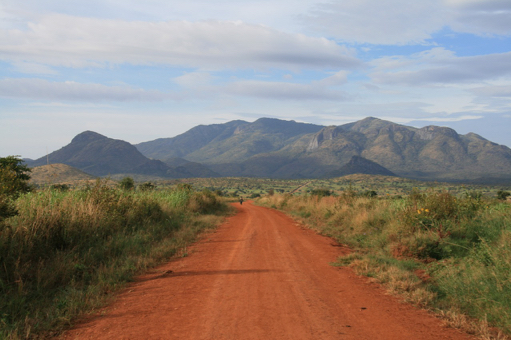 Het beeld van Afrika - vakantie in Oeganda