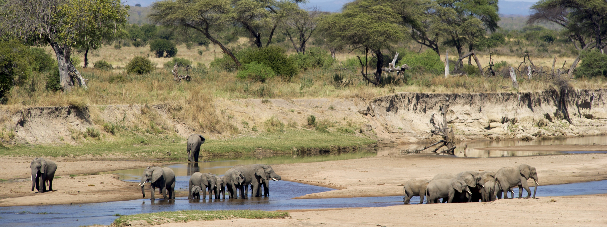 Selous NP