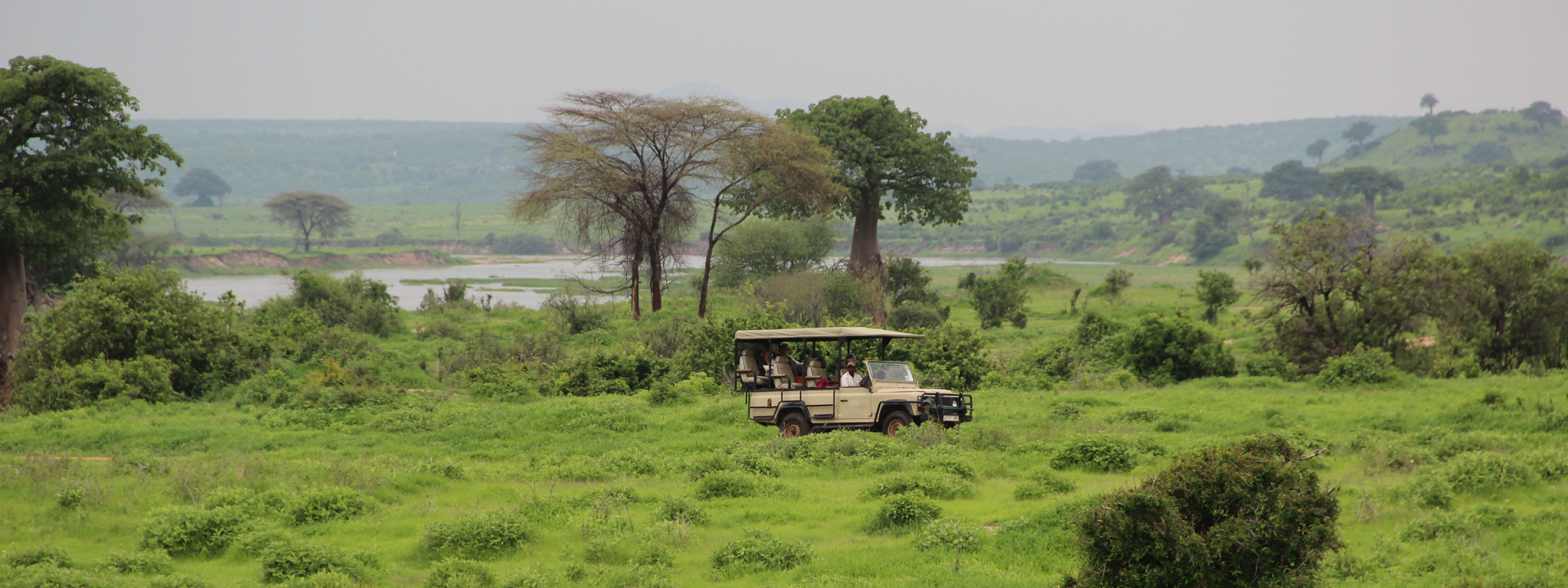 Ruaha NP