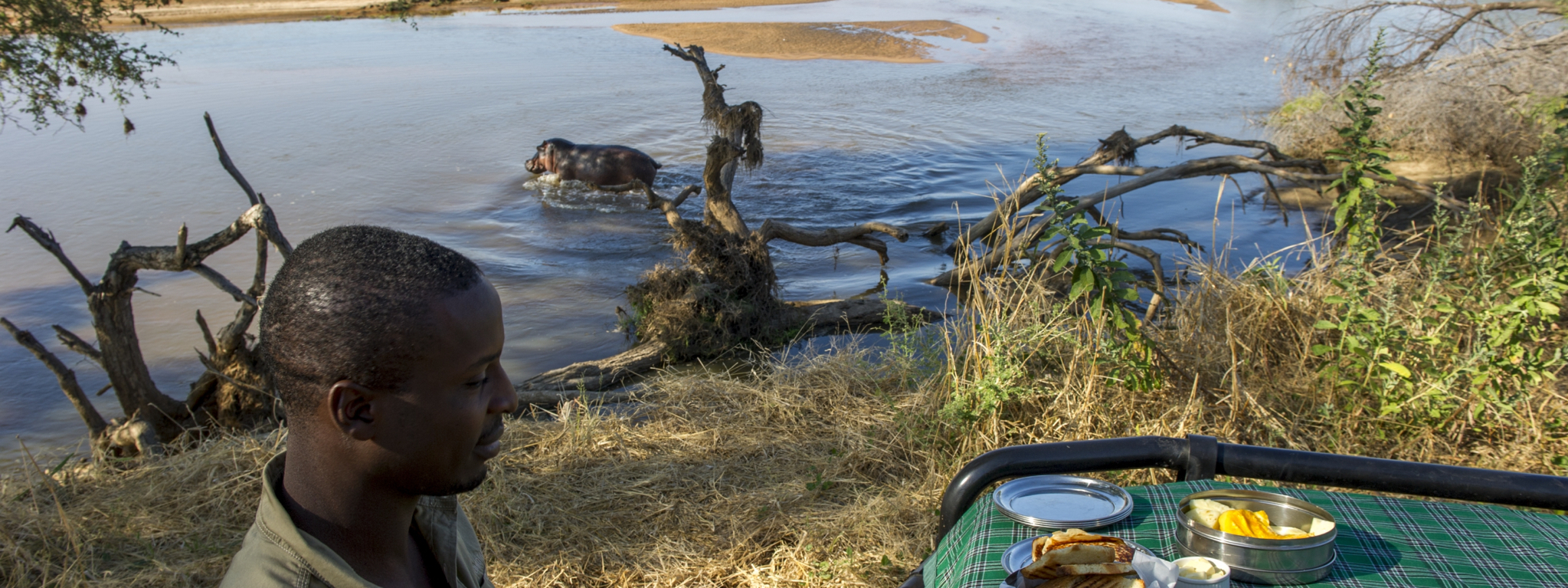 Ruaha NP