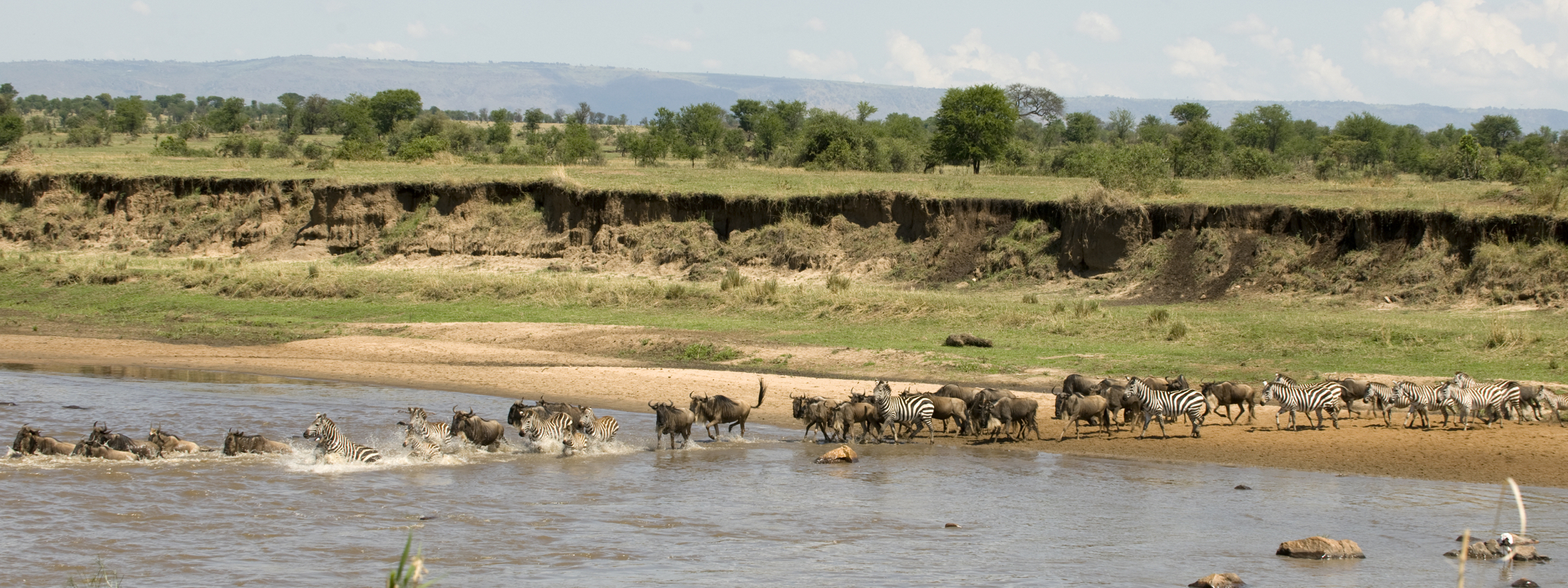 Serengeti