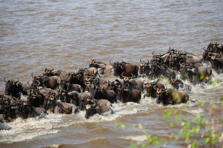 Serengeti Grote Trek