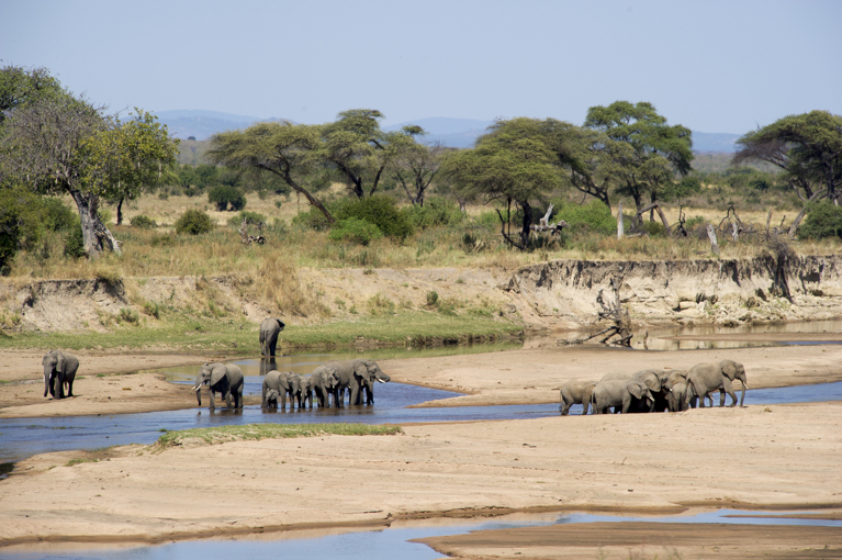 Sand Rivers Selous