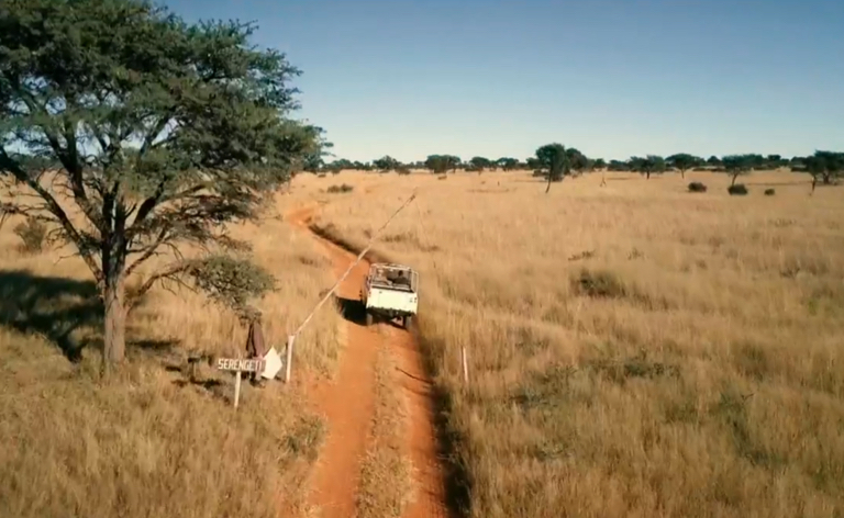 Tanzania Serengeti