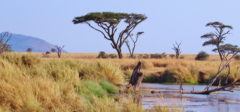 Tanzania Serengeti