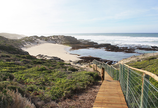 Individuele reis natuurpark De Hoop