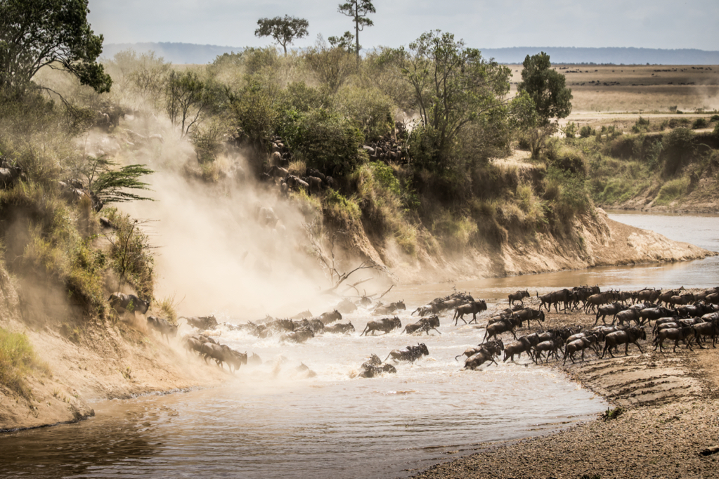 Tanzania en Kenia: de grote Migratie